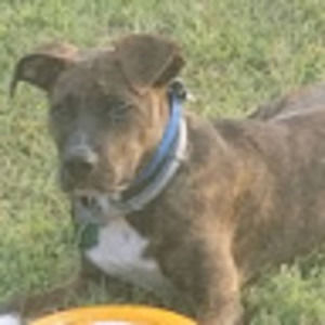 Meet your Posher, Sonya